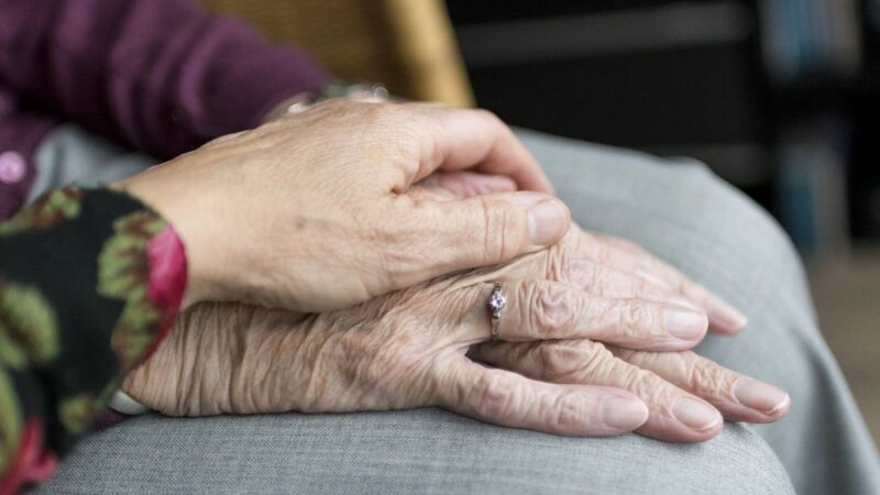 Parkinson: cientistas sintetizam molécula de esponja do mar que poderá ajudar no tratamento da doença