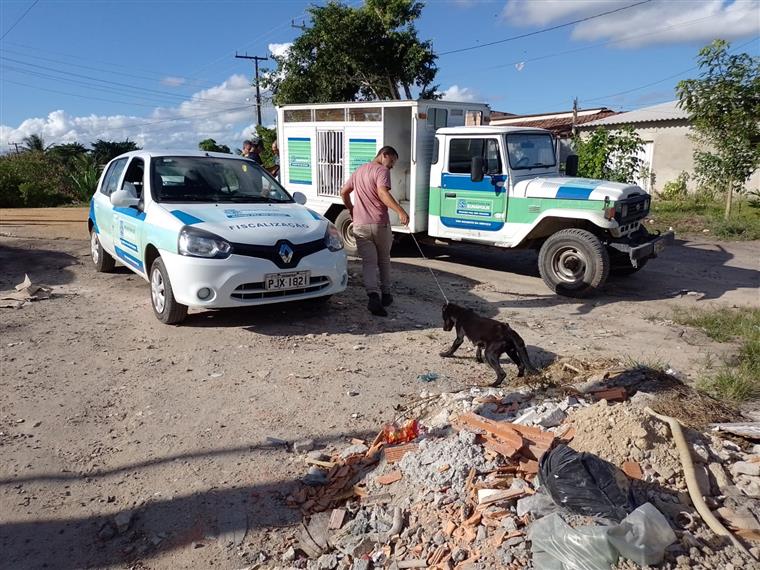 Ação entre Vigilância Sanitária, CCZ e CIPA resgatou animais que viviam em péssimas condições sanitárias