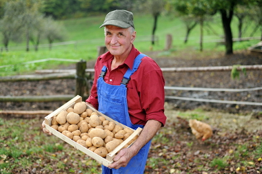 AGRICULTURA FAMILIAR – Entenda o que é a agricultura familiar e a importância dessa atividade para a economia do Brasil.