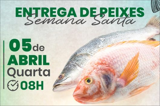 Prefeita de Eunápolis Cordélia Torres anuncia a entrega de 18 toneladas de peixe na próxima quarta-feira