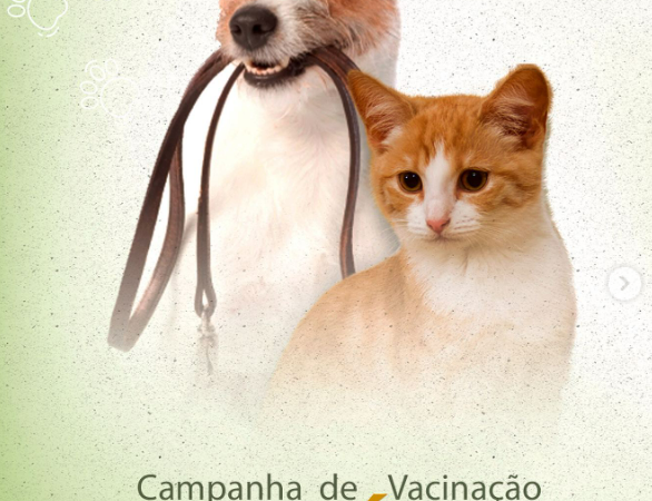 O Centro de Controle de Zoonoses de Eunápolis iniciou a campanha de vacinação antirrábica para cães e gatos.