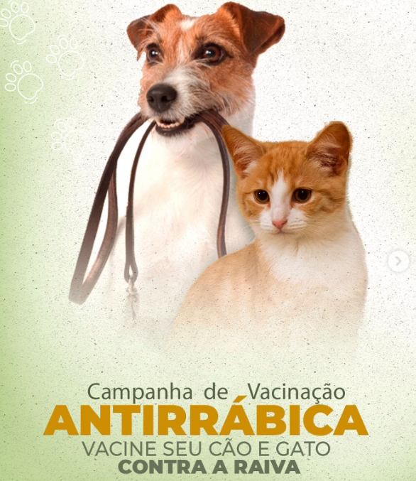 O Centro de Controle de Zoonoses de Eunápolis iniciou a campanha de vacinação antirrábica para cães e gatos.