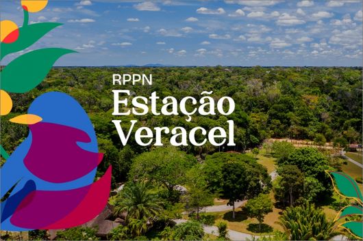 RPPN Estação Veracel 25 anos: nova marca é criada para a maior Reserva de Mata Atlântica do NE