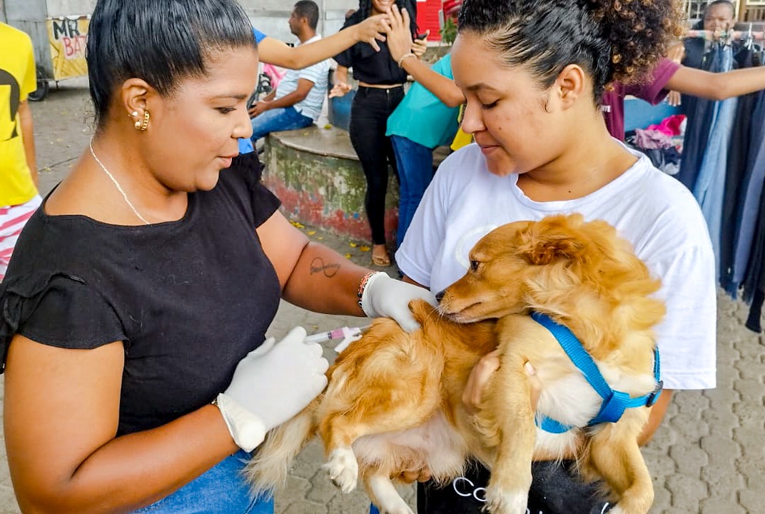 Vacinação antirrábica atinge a marca de 27.811 cães e gatos em Porto Seguro