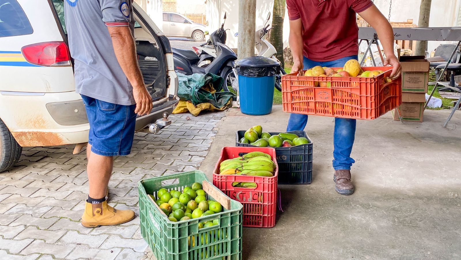 Prefeitura de Eunápolis inicia aquisição de alimentos de agricultores familiares para 2024