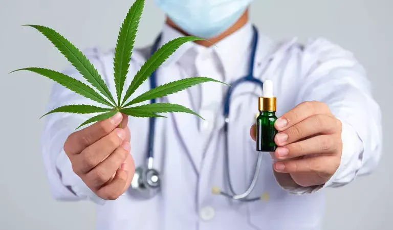 Maconha medicinal: médicos farão campanha contra resolução que possa restringir uso da substância