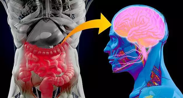 LIGAÇÃO COM BACTERIAS DO INTESTINO APONTA NOVO TRATAMEJTO PARA PARKINSON